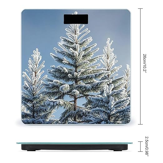 Frost in Winter Scale for Body Weight Highly Accurate Digital Bathroom Body Scale Digital Bathroom Scales for People Anti-Slip Large LCD Display Smart Scales
