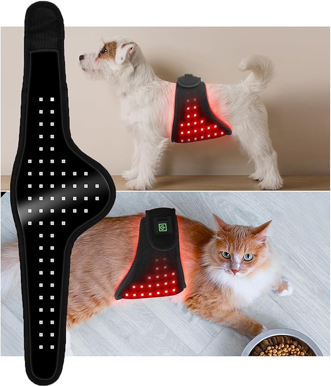 Red Light Physical Therapy Device 660NM+850NM Wavelength Wearable Infrared Light Therapy Device for Recovery Abdomen Buttocks and Back of Cats/Dogs