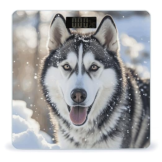 Dog in The Snow Digital Bathroom Scale for Body Weight Weighing Scale with Backlit LCD Display High Precision Measurements &amp Measures Weight Up to 180kg