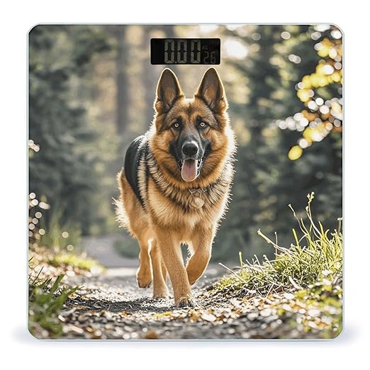 Running German Shepherd Dog Scale for Body Weight Sturdy Tempered Glass Weighing Scales with LCD Display Accurate Digital Bathroom Scale Convenient Body Fat Smart Scales Easy Read