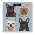 French Bulldog Scale for Body Weight Digital Bathroom Scale Toughened Glass High Precision Scales for Body Weight with Large LCD Backlight Display Weight Scales