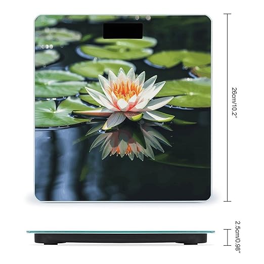Water Lily Weight Scale Large Bathroom Scales Digital Weight with Bright LED Display Non Slip Automatic Weighing Scale Fashion Weighing Machine for Body