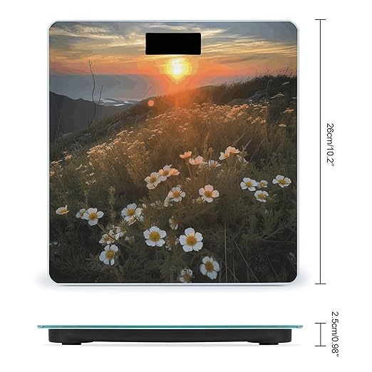 Sunset and Flowers Smart Scale for Body Weight Accurate Bathroom Scale with LED Display Digital Weight Scales Weighing Machine High Precision Scales for Bath Home