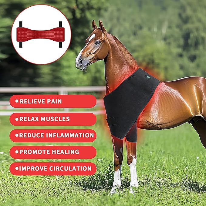 Horse Red Light Therapy Pad for Back and Abdomen Injury Recovery Fracture Healing Pain Relief