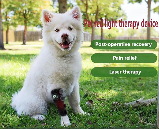 Red Light Therapy Leg Guards for Dogs - Wearable Canine Wrap for Indoor Use - Ideal for Small Dogs and Cats