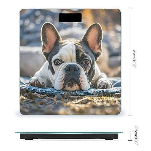 French Bulldog Dog Cute Bathroom Scale for Body Weight Bathroom Weighing Scales with Back Lit LED Display Sturdy Tempered Glass Body Weight Bathroom Scale 400lb Weighing