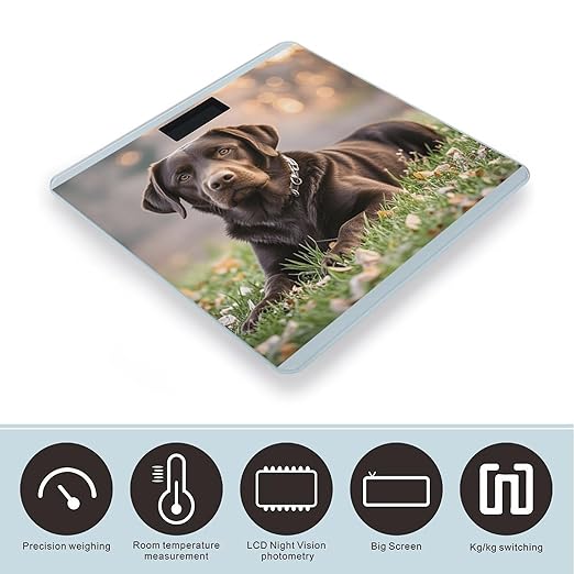 Brown Labrador Retriever Scale for Body Weight Highly Accurate Digital Bathroom Scale Sturdy Tempered Glass Weighing Scales with LCD Display Fashion Body Fat Smart Scales 400lb