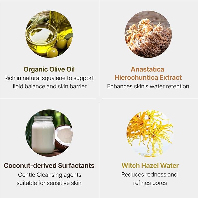 Body Wash 16.9 fl oz – Mild Low pH Cleanser with Plant-Based Surfactants for All Skin Types Gentle Moisturizing Formula Face-Safe Vegan Body Cleanser