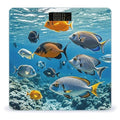 Fish in The Sea Digital Bathroom Scale for Body Weight Weighing Scale with Backlit LCD Display High Precision Measurements &amp Measures Weight Up to 180kg