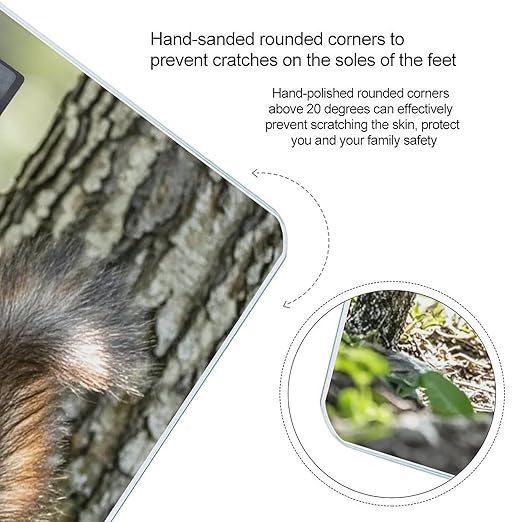 Squirrel in The Woods Scale for Body Weight Highly Accurate Digital Bathroom Body Scale Digital Bathroom Scales for People Anti-Slip Large LCD Display Smart Scales