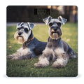 Adult Schnauzer Dogs Weight Scale Large Bathroom Scales Digital Weight with Bright LED Display Non Slip Automatic Weighing Scale Fashion Weighing Machine for Body
