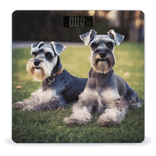 Adult Schnauzer Dogs Bathroom Scale for Body Weight Bathroom Weighing Scale with Backlit LCD Display Highly Accurate Measures Weight Up to 180kg