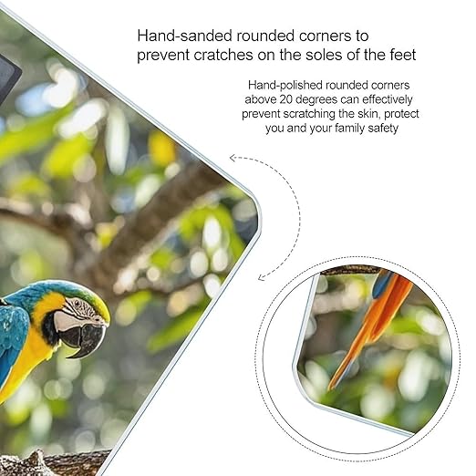 Colorful Parrots On Tree Scale for Body Weight Digital Bathroom Scale Toughened Glass High Precision Scales for Body Weight with Large LCD Backlight Display Weight Scales