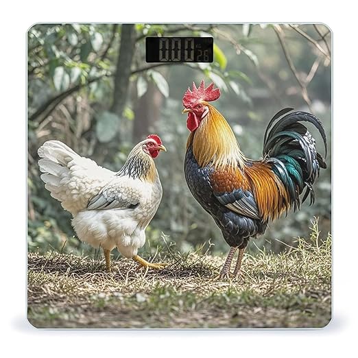 Rooster and Hen Bathroom Scale for Body Weight Bathroom Weighing Scales with Back Lit LED Display Sturdy Tempered Glass Body Weight Bathroom Scale 400lb Weighing