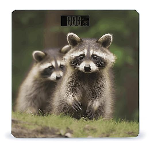 Cute Raccoon Weight Scale Digital Electronic Scales Bathroom Scale Larg LCD Backlight Display High Precision MeasurementsTempered Glass