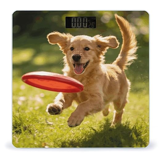 Interesting Puppy Weight ScaleClear LED Display Bathroom Digital Weighing ScaleTempered Glass Digital Bathroom Scale for Body Weight Capacity Up to 400 Lbs