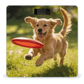 Interesting Puppy Weight ScaleClear LED Display Bathroom Digital Weighing ScaleTempered Glass Digital Bathroom Scale for Body Weight Capacity Up to 400 Lbs