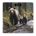 Mother Bear and Her Cubs Weight ScaleClear LED Display Bathroom Digital Weighing ScaleTempered Glass Digital Bathroom Scale for Body Weight Capacity Up to 400 Lbs