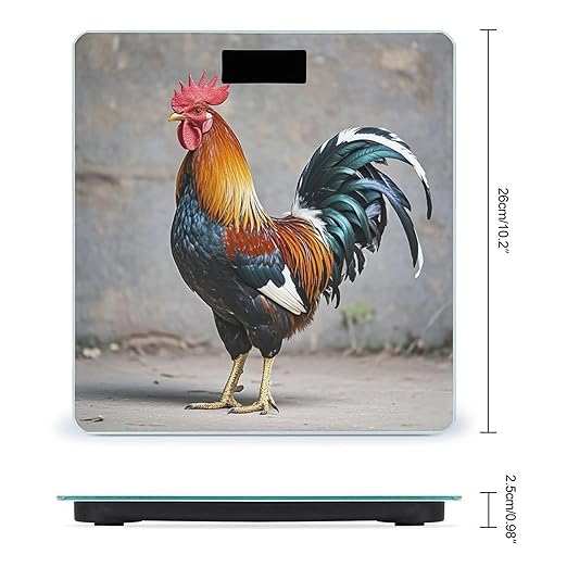 Rooster Bathroom Scale for Body Weight with High Precision Large LCD Backlight Display Digital Weighing Scale with BMI Capacity Up to 180kg
