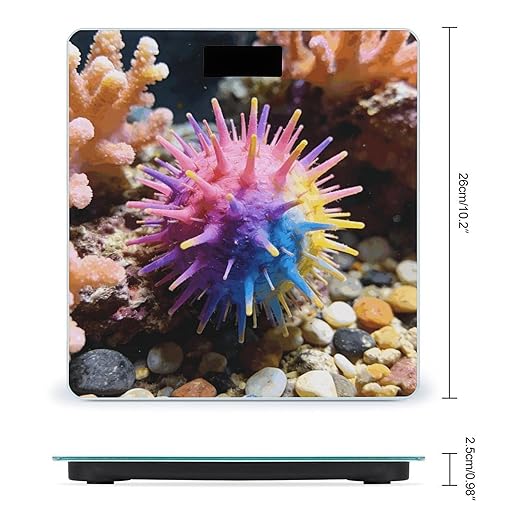 Colorful Sea Urchin Weight ScaleClear LED Display Bathroom Digital Weighing ScaleTempered Glass Digital Bathroom Scale for Body Weight Capacity Up to 400 Lbs
