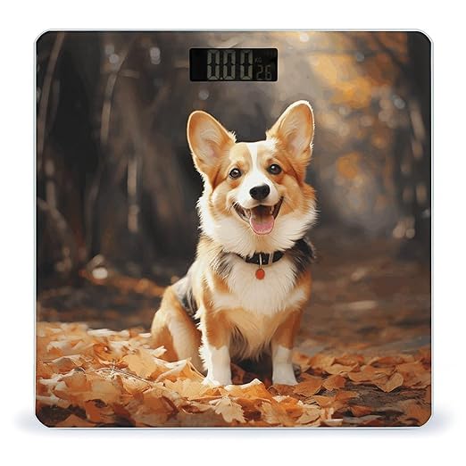 Corgi Dog Bathroom Scale Large LCD Backlight Display Digital Scale Rounded Corners Body Scales Automatic Power On/Off Bathroom Scales for Home Bedrooms