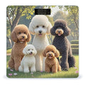 Poodles Dogs Scale for Body Weight Sturdy Tempered Glass Weighing Scales with LCD Display Accurate Digital Bathroom Scale Convenient Body Fat Smart Scales Easy Read