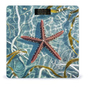 Starfish Scale for Body Weight Highly Accurate Digital Bathroom Body Scale Digital Bathroom Scales for People Anti-Slip Large LCD Display Smart Scales