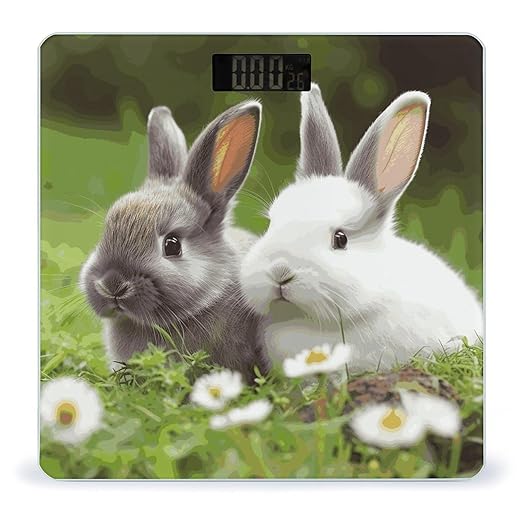 Two Little Cute Rabbits Scale with LCD Easy-to-Read Anti-Slip Weight Digital Bathroom Scale Precision Weighing Scales Sturdy Tempered Glass Body Weight Scales for Daily Use