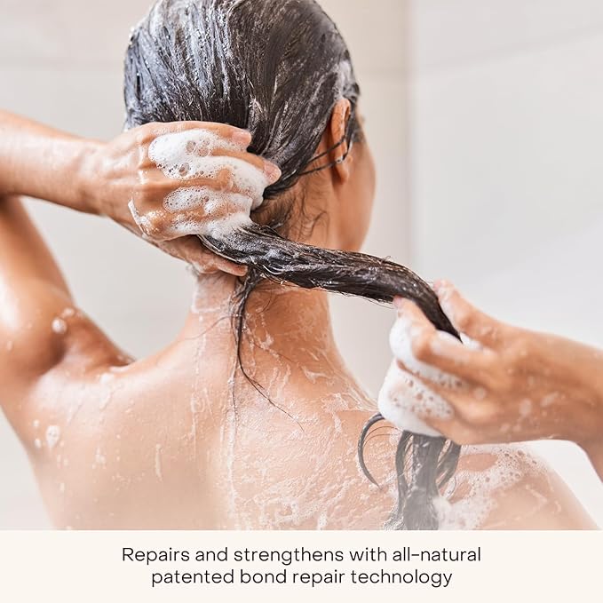 Everist The Complete Shower Kit Strengthens &amp Repairs Hair Deep Hydration &amp Smoothing Shampoo Deep Conditioner &amp Body Wash Concentrates Compostable Konjac Sponge &amp Jute Travel Bag