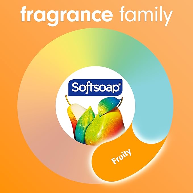 Softsoap Body Wash Pomegranate &amp Mango Spritz Body Wash 20 Fl Oz (Pack of 4)