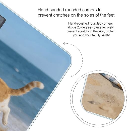 Beach Cat Fun Weight ScaleClear LED Display Bathroom Digital Weighing ScaleTempered Glass Digital Bathroom Scale for Body Weight Capacity Up to 400 Lbs