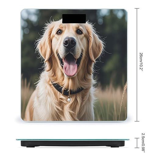 Funny Golden Retriever Scale for Body Weight Digital Bathroom Scale Toughened Glass High Precision Scales for Body Weight with Large LCD Backlight Display Weight Scales