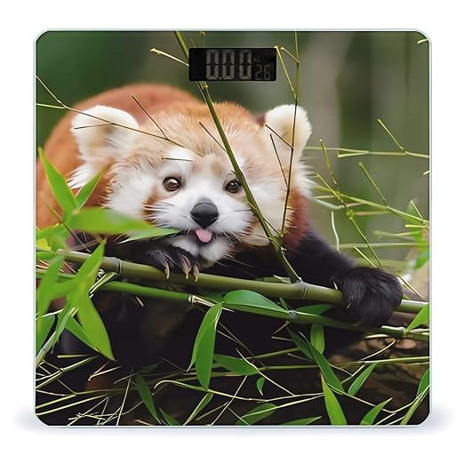 Little Red Panda Scale for Body Weight Anti-Slip Sturdy Tempered Glass Weighing Machine Highly Digital Accurate Bright LCD Bathroom Scale for Household Gift
