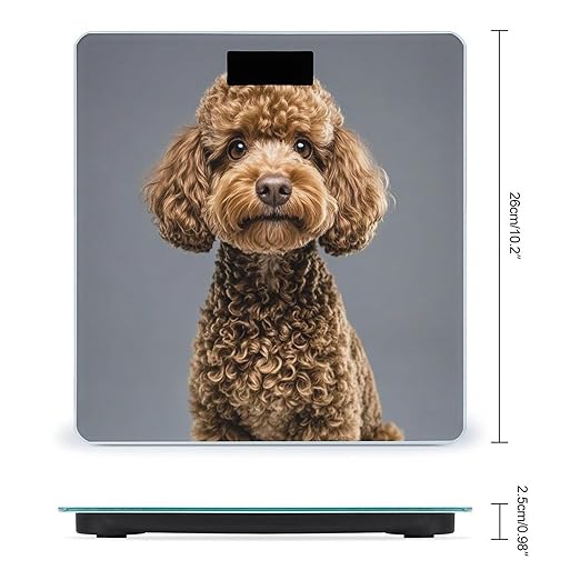 Brown Poodle Scale for Body Weight Digital Bathroom Scale Toughened Glass High Precision Scales for Body Weight with Large LCD Backlight Display Weight Scales
