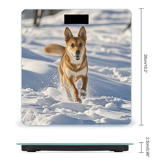 Dog Chasing in The Snow Digital Bathroom Scale for Body Weight Weighing Scale with Backlit LCD Display High Precision Measurements &amp Measures Weight Up to 180kg