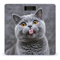 Blue Cat Sticking Out Tongue Bathroom Scale for Body Weight Bathroom Weighing Scales with Back Lit LED Display Sturdy Tempered Glass Body Weight Bathroom Scale 400lb Weighing