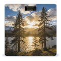 Gold Falling Between The Trees Weight ScaleClear LED Display Bathroom Digital Weighing ScaleTempered Glass Digital Bathroom Scale for Body Weight Capacity Up to 400 Lbs