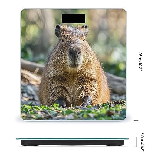 Capybara with Eyes Closed Bathroom Scale for Body Weight Bathroom Weighing Scales with Back Lit LED Display Sturdy Tempered Glass Body Weight Bathroom Scale 400lb Weighing
