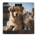 Cats and Dogs Bathroom Scale for Body Weight Bathroom Weighing Scale with Backlit LCD Display Highly Accurate Measures Weight Up to 180kg