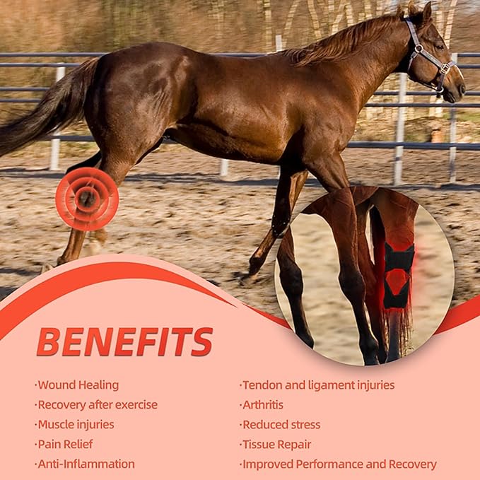 LED Red Light Therapy for Horse Knee Portable Wearable Infrared Therapy Wrap 660nm/850nm for Equine Joint &amp Muscle Recovery