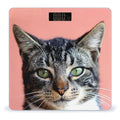 Cute Cat with Green Eyes Digital Bathroom Scale for Body Weight Lighted LCD Display Round Corner