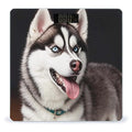 Cute Husky Dog Scale for Body Weight Digital Bathroom Scale Toughened Glass High Precision Scales for Body Weight with Large LCD Backlight Display Weight Scales