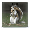 Squirrel Weight Scale for Body Weight Digital Bathroom Scale High Capacity Accurate Digital Weighing Scales and Easy-to-Read on Backlit LCD Display Scales