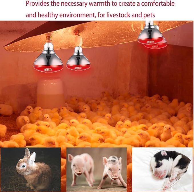 275W Infrared Heat Bulbs for Chickens Infrared Heat Lamp for Food Service Brooder Bulb Chicks Reptiles Pet Bathroom Sauna Heat Light Bulb E26 110V Infrared Red Light Therapy Bulbs4 Pack
