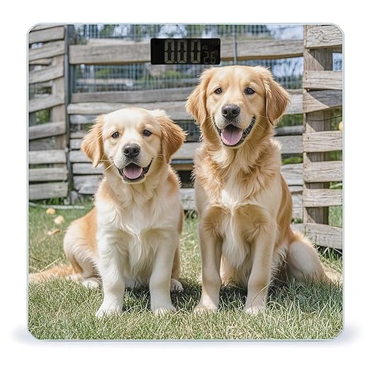 Digital Bathroom Scale for Body Weight Scale with Bright LCD Display High Accuracy Step-On Technology Auto On/Off Golden Retriever Dogs Puppies Pets Digital Scales 400 Lbs /180kg