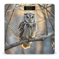 Owl on A Branch Bathroom Scale for Body Weight Bathroom Weighing Scales with Back Lit LED Display Sturdy Tempered Glass Body Weight Bathroom Scale 400lb Weighing