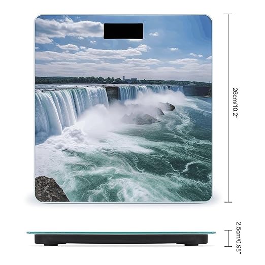 Niagara FallsScale for Body Weight with LCD High Precision Weighing Scales Fashion Sturdy Tempered Glass Weight Scales Easy-to-Read Digital Bathroom Scale for Daily 400lb