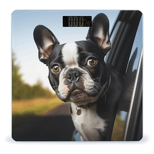 Puppy Dog Boston Terrier Bathroom Scale Rounded Smart Scale for Body Weight Automatic Power On/Off Weight Scales Accurate Bathroom Digital Scales for Pet Home Bedroom Kitchen