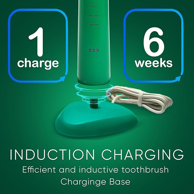 BIG MOUTH TOOTHBRUSH Dr Bobbi Electric Toothbrush for Adults Ultrasonic Rechargeable Toothbrush with 5 Cleaning Modes &amp 2-Minute Smart Timer Retains 42-Day Battery Travel-Ready Design – (Green)
