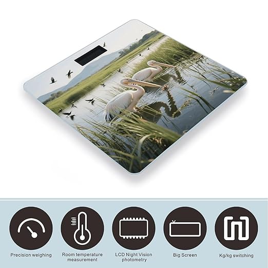 2 Pelicans Weight Scale Large Digital Bathroom Scales with Bright LED Display Non Slip Digital Scale and Step On Fashion Weighing Machine for Body